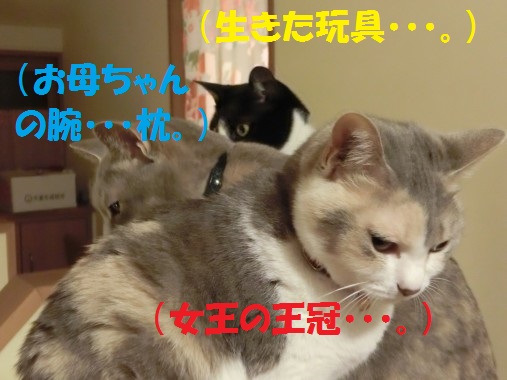 20130424-12.jpg