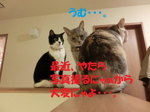 20130424-4.jpg