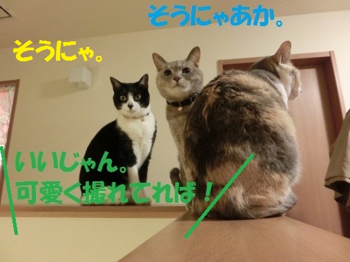 20130424-5.jpg
