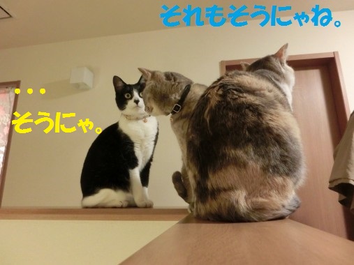 20130424-7.jpg