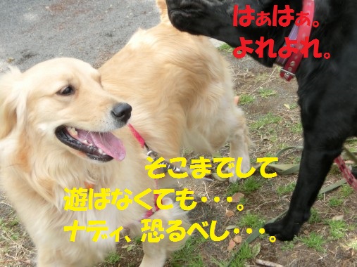 20130425-12.jpg