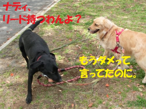 20130425-3.jpg