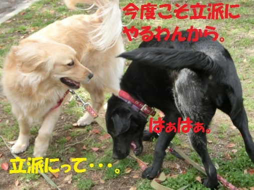 20130425-8.jpg