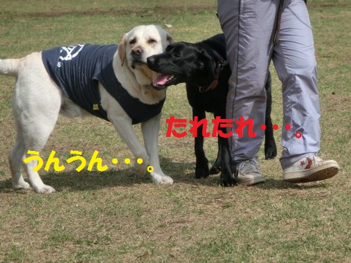 20130427-1.jpg