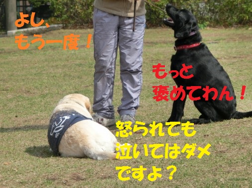 20130427-10.jpg
