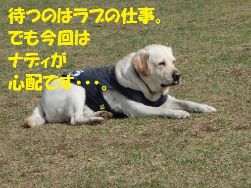 20130427-11.jpg
