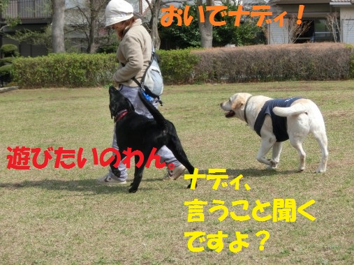 20130427-2.jpg