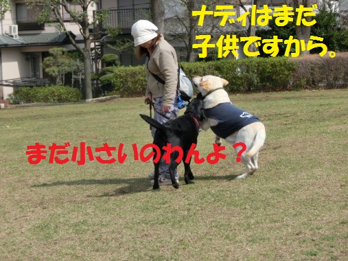 20130427-3.jpg