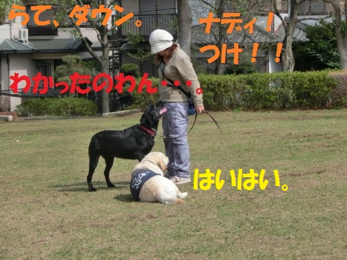 20130427-5.jpg