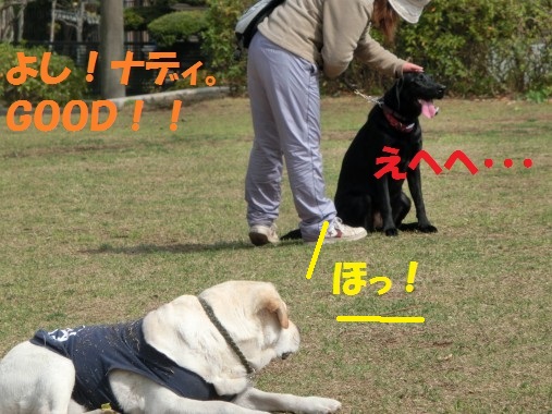 20130427-8.jpg