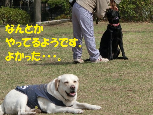 20130427-9.jpg