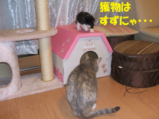 20130429-6.jpg