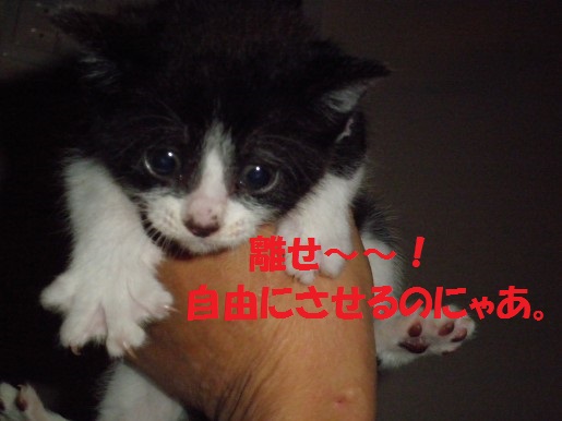 20130430-1.jpg