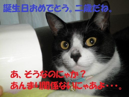 20130430-12.jpg