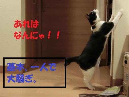 20130430-3.jpg