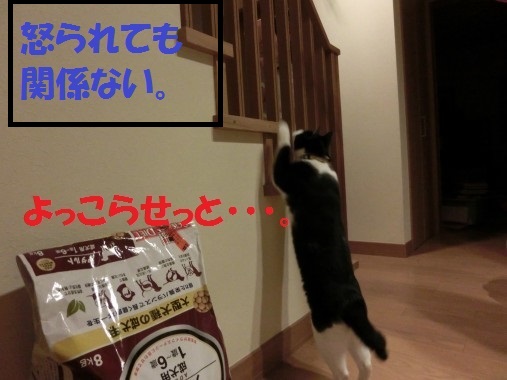 20130430-4.jpg