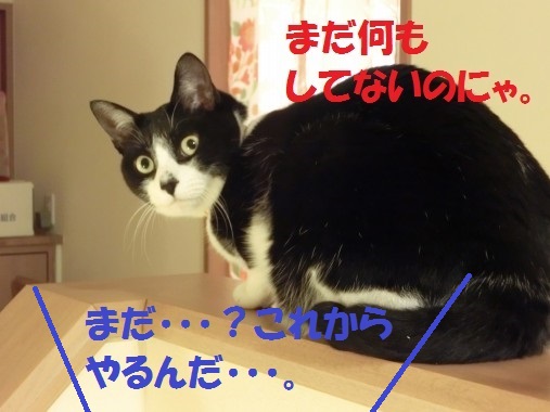 20130430-7.jpg