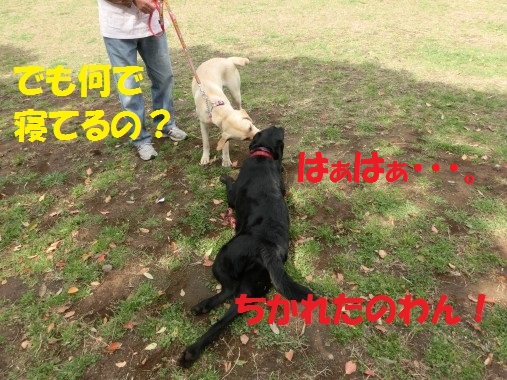 20130501-12.jpg