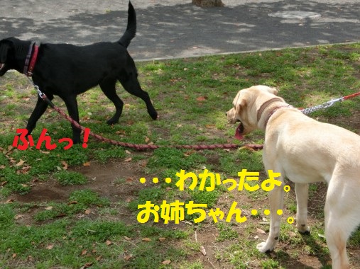 20130501-6.jpg