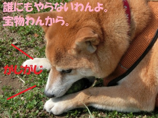 20130503-8.jpg
