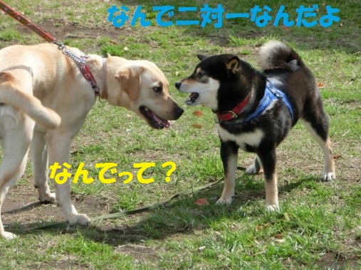 20130507-8.jpg