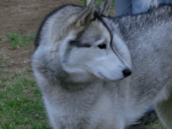 20130511-7.jpg