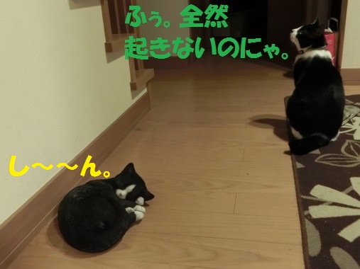 20130514-4.jpg
