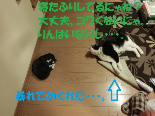 20130514-5.jpg