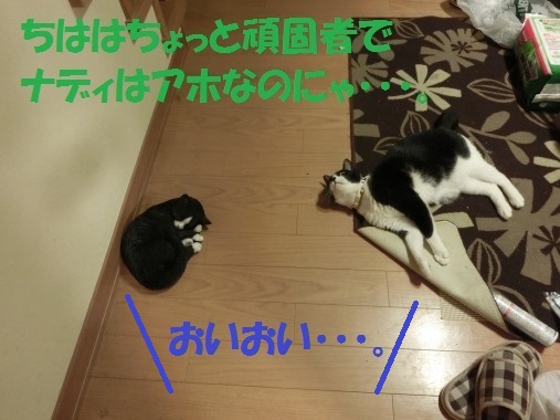 20130514-7.jpg