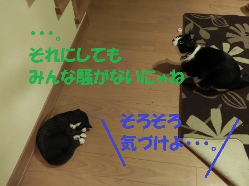 20130514-9.jpg