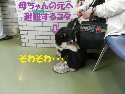 20130517-11.jpg