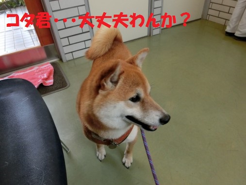 20130517-12.jpg