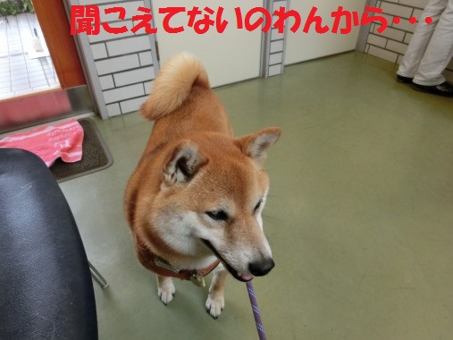 20130517-14.jpg