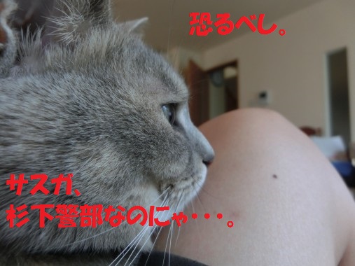 20130520-6.jpg