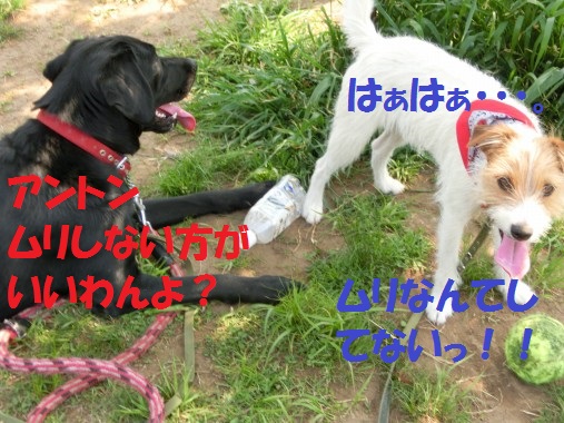 20130521-8.jpg