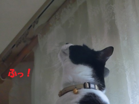 20130522-10.jpg