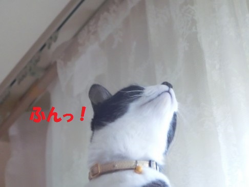 20130522-11.jpg