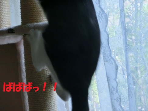 20130522-7.jpg