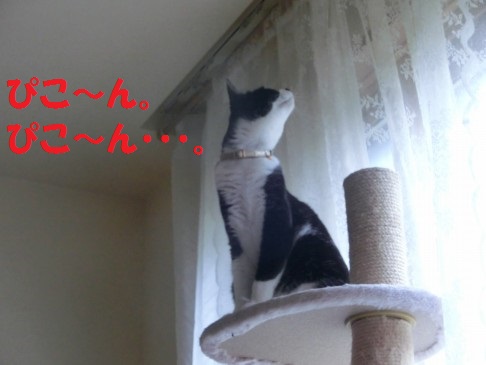 20130522-9.jpg