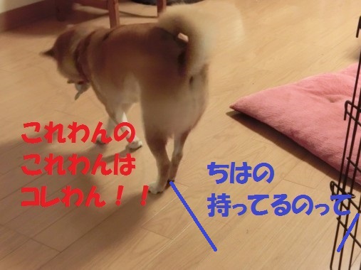 20130523-2.jpg