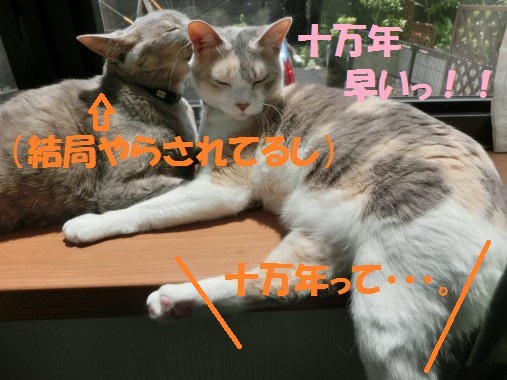 20130524-11.jpg