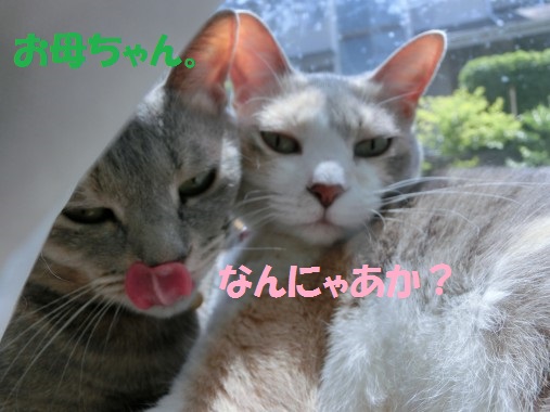 20130524-5.jpg