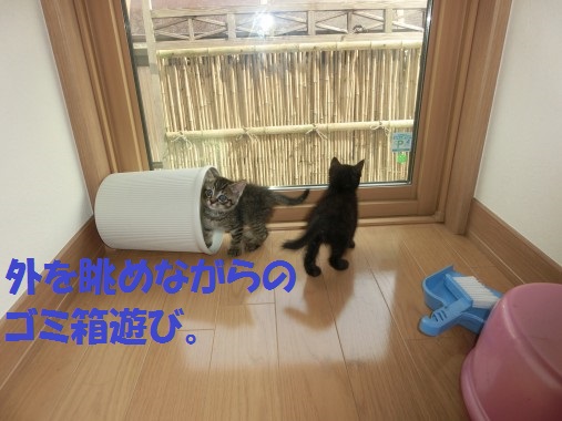 20130525-004.jpg