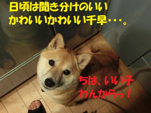 20130525-1.jpg