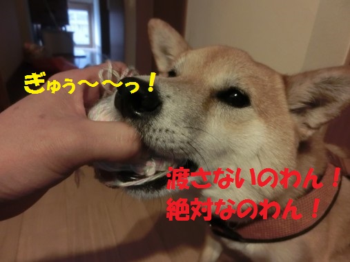 20130525-3.jpg