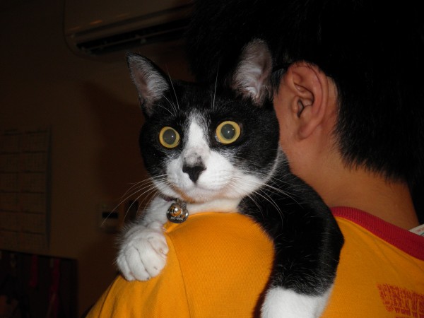 20130526-5.jpg