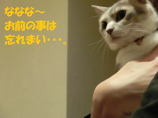 20130530-11.jpg