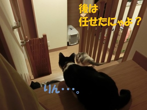 20130530-6.jpg