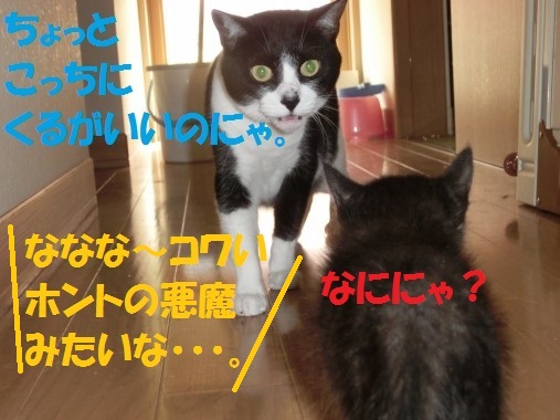 20130603-4.jpg