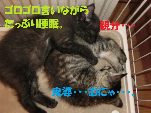 20130604-13.jpg